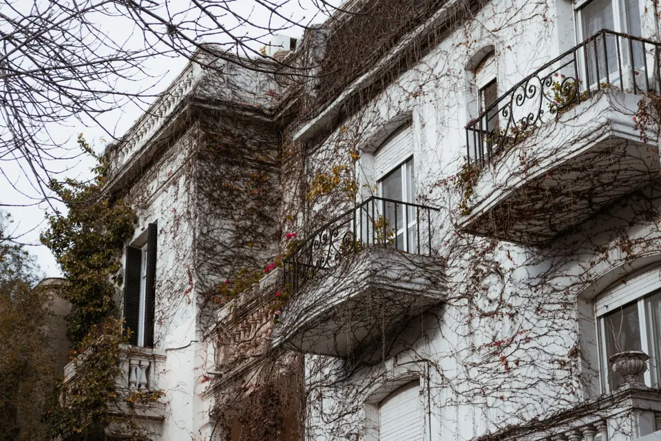 Charmante, von Reben bewachsene Gebäudefassade in Buenos Aires, Argentinien.